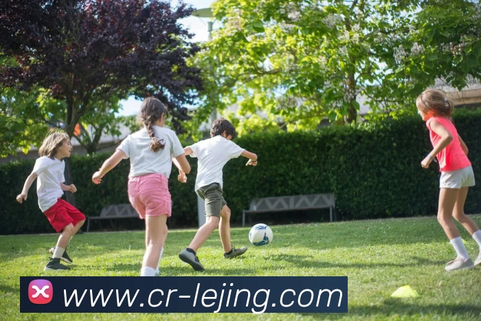 乐竞体育平台生态图