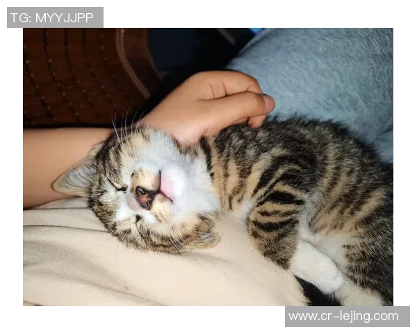 克莱女友甜蜜更新社交媒体秀恩爱我的宝贝我的宝贝让单身狗心碎 克莱女友甜蜜更新社交媒体秀恩爱我的宝贝我的宝贝让单身狗心碎